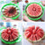 Slicer Watermelon Stainless Steel - 100003249